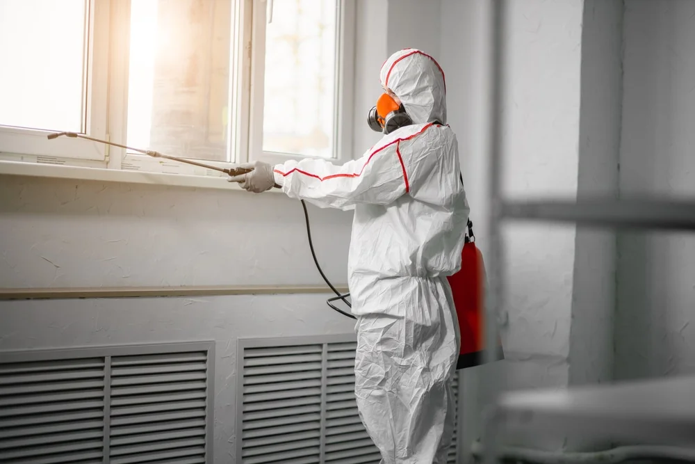 Professional mold remediation services in Hyde Park, UT